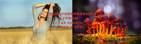 дживик Абинск
