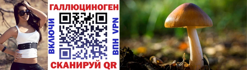Галлюциногенные грибы Psilocybe  darknet состав  hydra онион  Богданович  где купить наркоту 